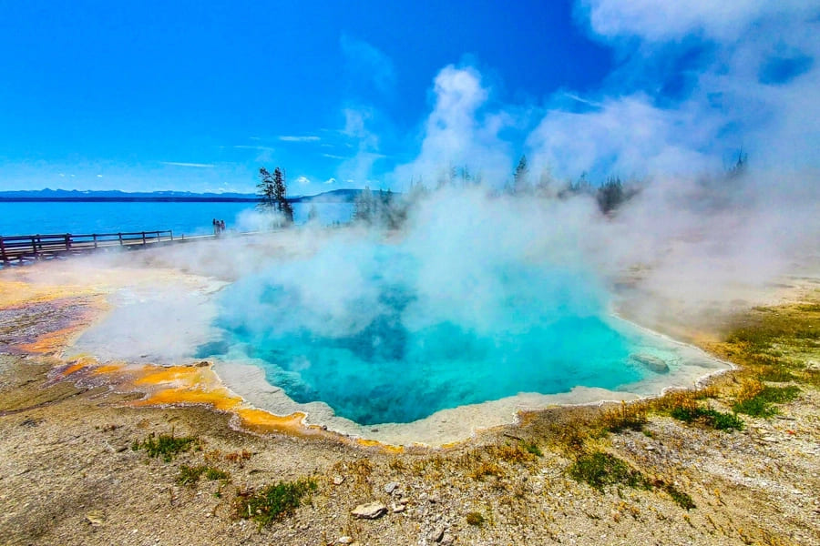 Activité à Yellowstone